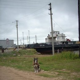 Костя, Чебоксары